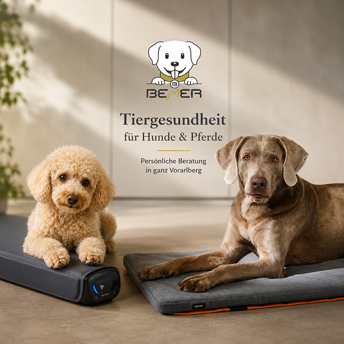 BEMER Dog Line - Tiergesundheit für Hunde – Persönliche Beratung für Hundehalter aus Vorarlberg, Lichtenstein und der Schweiz