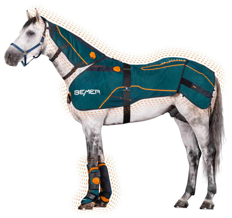 BEMER Horse Line - Tiergesundheit für Pferde – Persönliche Beratung für Pferdebesitzer aus Vorarlberg, Lichtenstein und der Schweiz